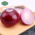 Chinese fresh red onion price per ton export